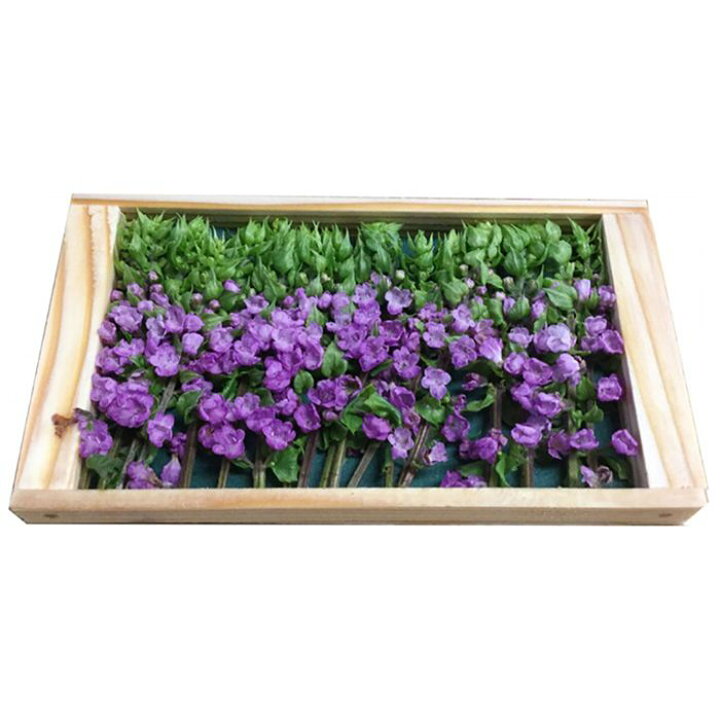 楽天市場 花穂紫蘇 はなほじそ 約17 本入り 1箱 生鮮食品直送便