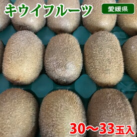 【送料無料】 愛媛県産　キウイフルーツ （ヘイワード） 秀品　M～Lサイズ （30～33玉入り）