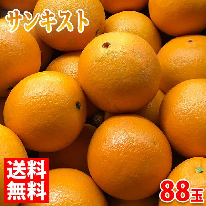 Richardajkeys sunkist オレンジ SUNKIST ORANGE