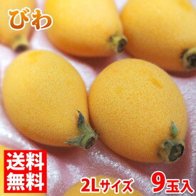 楽天市場 びわ 2lサイズの通販