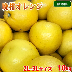 【送料無料】 熊本県産　晩柑オレンジ （ジューシーオレンジ） 秀品　2L〜3Lサイズ　10kg （箱） 国産 みかん
