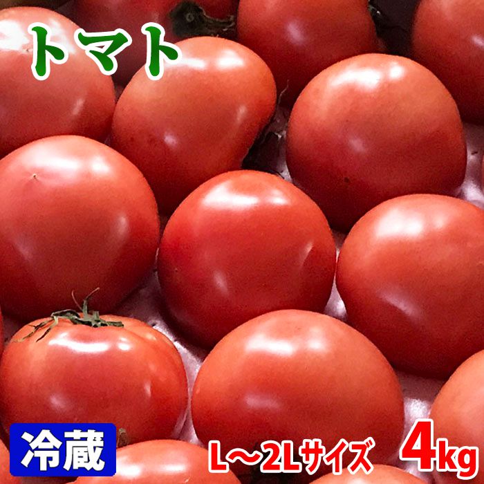 高糖度で非常に濃厚な味 人気 おすすめ 熊本県産 トマト 等級A 約4kg 出色 16～20玉入 L～2Lサイズ