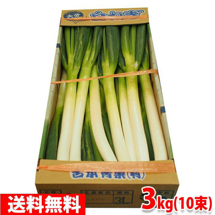 楽天市場】【送料無料】 大分県産他 白ネギ 秀品 L～2Lサイズ 2～3本束 
