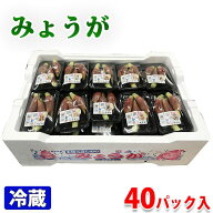 高知県産　みょうが　A等級　Lサイズ　50g（3本前後入）×40パック入り（箱） ミョウガ 茗荷