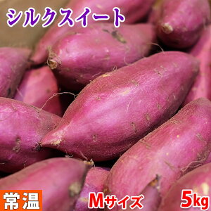yz錧YiJA鈮j܂@VNXC[g@G@MTCY@5kgi20{Oj