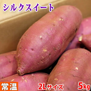 yz錧YiJA鈮j܂@VNXC[g@G@2LTCY@5kgi8`9{Oj