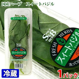 国産　スイートバジル　1パック　総量：約25g（目安 17g） パック