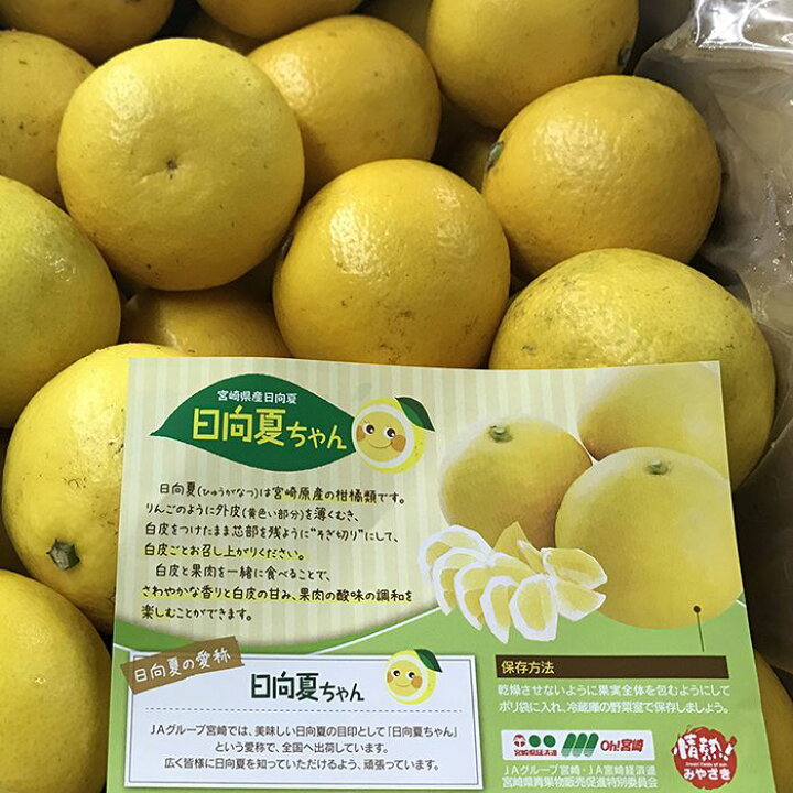 楽天市場 送料無料 宮崎県産 日向夏 日向夏ちゃん A等級 Mサイズ 5kg 生鮮食品直送便