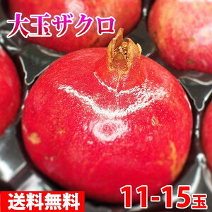 yz@AJY@ʁ@UNiEўցj@11ʁ`15ʓ