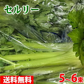 【送料無料】 静岡県産　セルリー （セロリ） L～2Lサイズ　5～6束入り （箱）