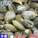 北海道産 （活） あさり　中サイズ　約1kg