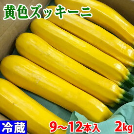 岡山県産　黄色ズッキーニ　2kg（9～12本入り）箱