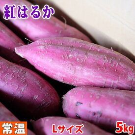 【送料無料】鹿児島県産（かのや）さつまいも　紅はるか　秀品　Lサイズ　約5kg（20本前後入）箱入り