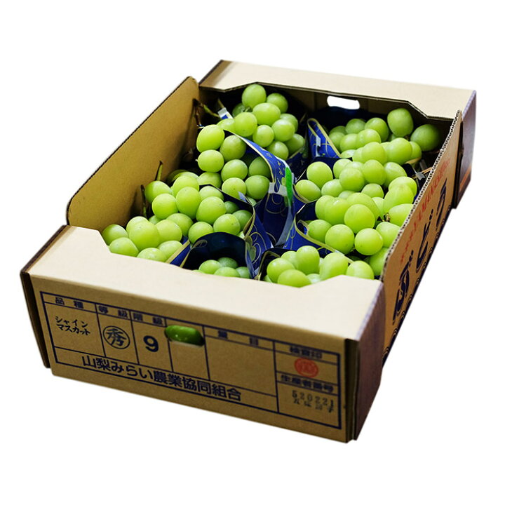 楽天市場】【送料無料】山梨県産 シャインマスカット 秀品 5kg 9～11房 
