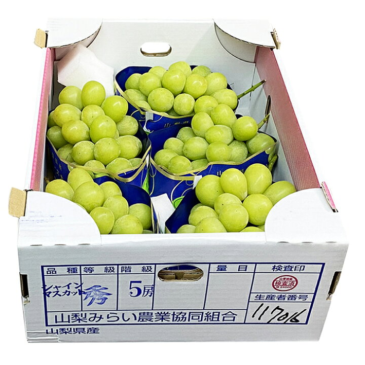 楽天市場】山梨県産 シャインマスカット 秀品 5房入り 3kg（箱 