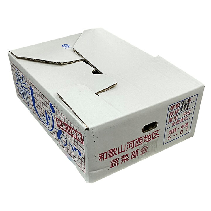 楽天市場】和歌山県産 新しょうが 秀品 M〜Lサイズ 4kg （箱） 国産 新 