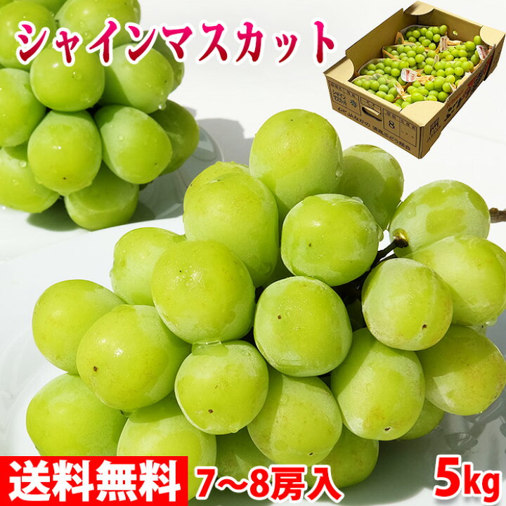 楽天市場】【送料無料】山梨県産 シャインマスカット 秀品 5kg 7～8房  