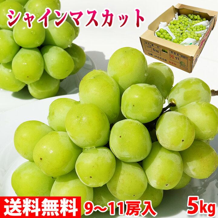 楽天市場】【送料無料】山梨県産 シャインマスカット 秀品 5kg 9～11房 