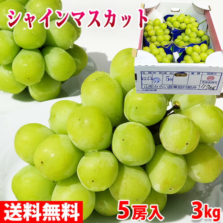 楽天市場】山梨県産 シャインマスカット 秀品 5房入り 3kg（箱 
