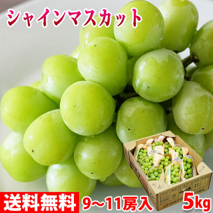 楽天市場】長野県産 シャインマスカット 秀品 5kg 9〜11房入り 国産 