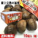 神光商事　樹上完熟　福栗　2袋入り（100g小袋×2入）×10パック（箱） 無添加 皮割れ 甘栗 セット おやつ スイーツ …