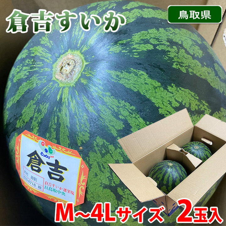 楽天市場】鳥取県産 倉吉すいか 鳥取西瓜 M〜4Lサイズ 2玉入り ( 特大 