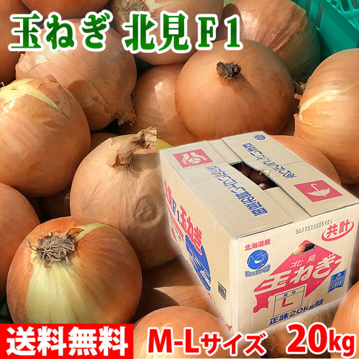 楽天市場】北海道産 玉ねぎ 北見F1 20kg （箱） 業務用 タマネギ 玉葱 