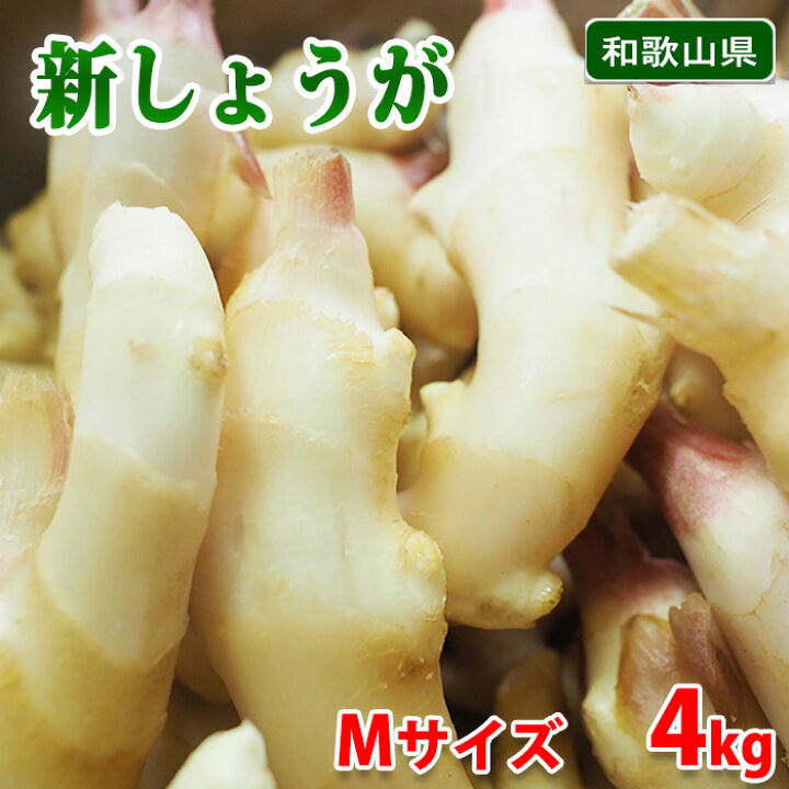 楽天市場】和歌山県産 新しょうが 秀品 M〜Lサイズ 4kg （箱） 国産 新 