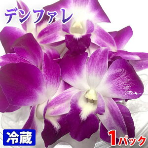 ^CY@ft@@ԁ@8@40g ipbNj 