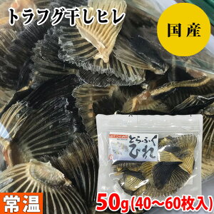 yzY@gtO@q@50gi40`60j