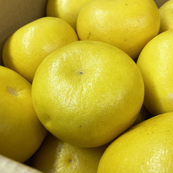 楽天市場】【送料無料】 高知県産 土佐文旦 秀品 M〜Lサイズ 10kg （箱 