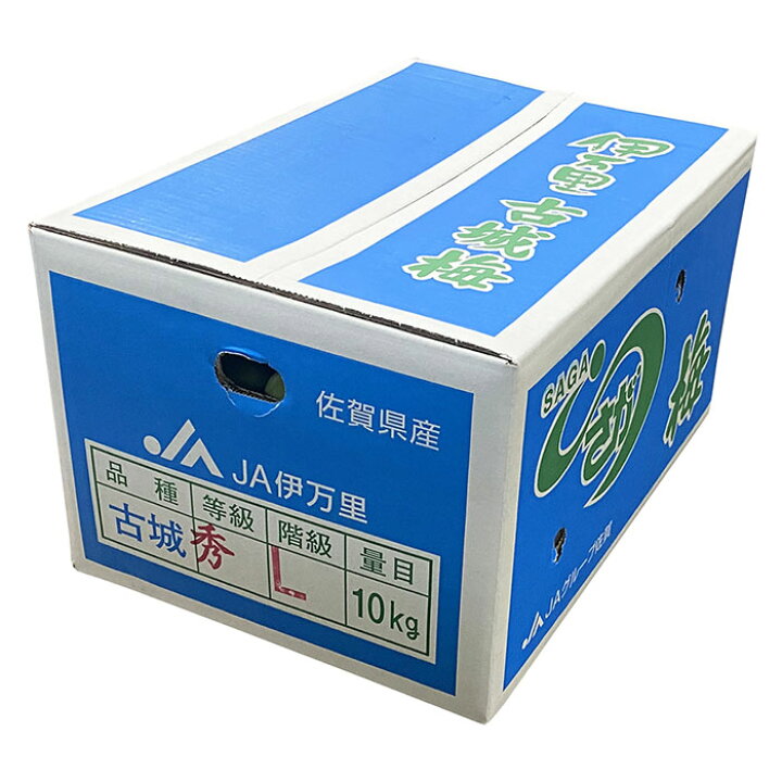 楽天市場】和歌山県産 古城梅 （青梅） Lｰ2Lサイズ 10kg （箱） 国産 