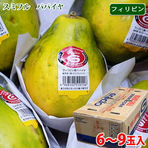 �X�~�t���@�t�B���s���Y�@�p�p�C���@6�`9�ʓ� / 10�`14�ʓ��� �i���j ��������