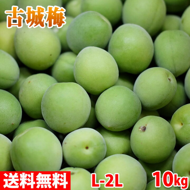 楽天市場】和歌山県産 古城梅 （青梅） Lｰ2Lサイズ 10kg （箱） 国産 