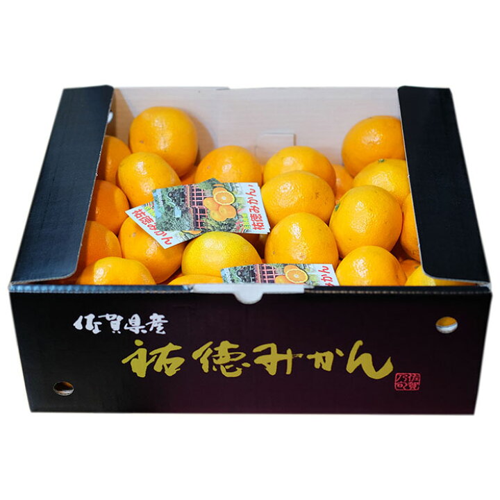 楽天市場】【送料無料】 佐賀県産 祐徳みかん 一押し M〜Lサイズ 5kg  