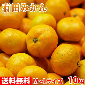 yz a̎RY@Lc݂@Gi@M`LTCY@10kgij