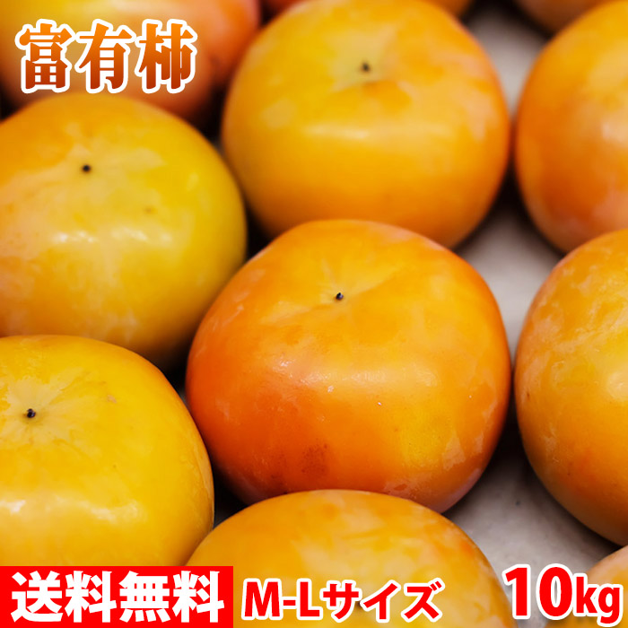 柔らかく甘いブランド柿 フルーツ 果物 送料無料 奈良県産 富有柿 10kg箱 市販 2L 安売り 約36玉入り 秀品