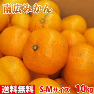 yz a̎R@Lc݂@LiȂ҂j݂@Gi@S`MTCY@10kg