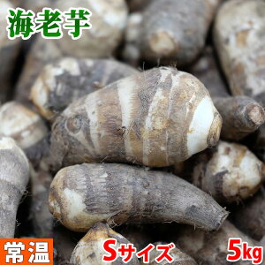 yz ÉY@CViтj Ai@STCY@5kg