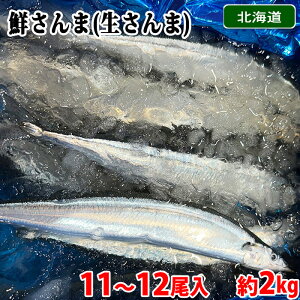 kCY@N܁@T}@1 (160`180gO) / 11`12 (2kg) @Y 