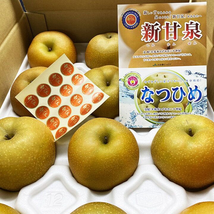 楽天市場】鳥取県産 梨 新甘泉 （しんかんせん） 秀品 5kg 10～12玉 
