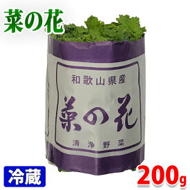 楽天市場 菜の花 野菜 きのこ 食品 の通販 楽天市場 菜の花 野菜 きのこ 食品 の通販