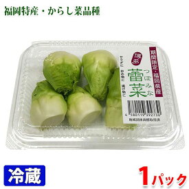 楽天市場 蕾菜の通販