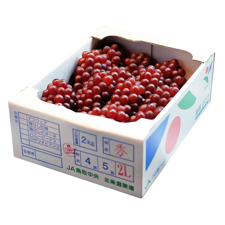 楽天市場】鳥取県産 ぶどう デラウェア 秀品 L〜2Lサイズ 約2kg （箱 