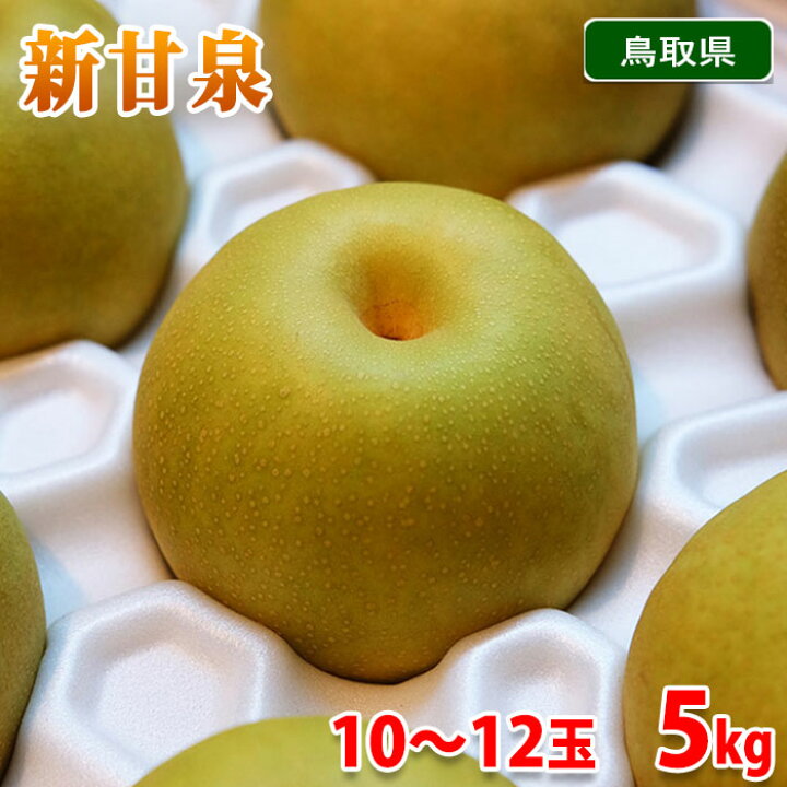楽天市場】鳥取県産 梨 新甘泉 （しんかんせん） 秀品 5kg 10～12玉 