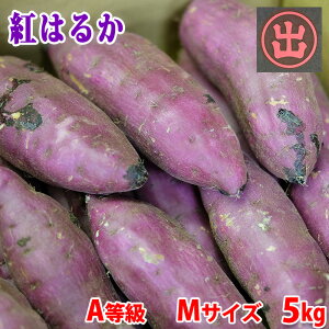 yz 錧Yi}fj܂@g͂邩@A@MTCY@5kg (19`20{O)  