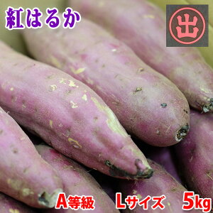 yz 錧Yi}fj܂@g͂邩@A@LTCY@5kg (12`13{O)  