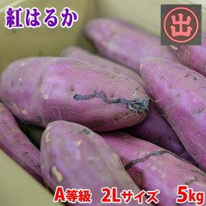 yz 錧Yi}fj܂@g͂邩@A@2LTCY@5kg (8`9{O)  