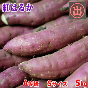 yz 錧Yi}fj܂@g͂邩@A@STCY@5kg (32`34{O)  