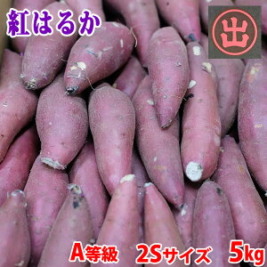 yz 錧Yi}fj܂@g͂邩@A@2STCY@5kg (40`50{O)  